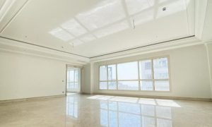 فروش‌آپارتمان/۲۷۰متری/خیابان امین